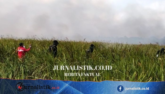 TNI Luncurkan Drone untuk Bantu Pemadaman Karhutla di Way Kambas, Mayoritas Titik Api Dipadamkan