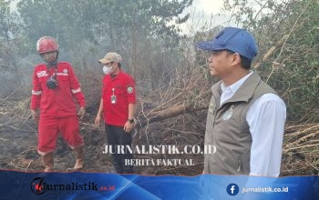 Menhut Raja Juli Antoni Pantau Karhutla Banjarbaru, Titik Api Kalsel Kembali Melebar