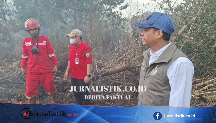 Menhut Raja Juli Antoni Pantau Karhutla Banjarbaru, Titik Api Kalsel Kembali Melebar