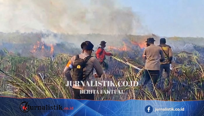 Karhutla Way Kambas Muncul Lagi di Braja Luhur, Lampung Timur Dipastikan Tak Mengancam Habitat Gajah