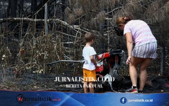 Kebakaran hutan di Prancis ungkap ratusan peluru Perang Dunia II di Le Porge