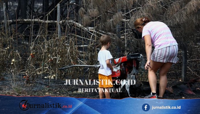 Kebakaran hutan di Prancis ungkap ratusan peluru Perang Dunia II di Le Porge
