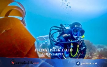 Setelah 40 Tahun, Ilmuwan Memastikan Alga Laut Merah Muda Langka sebagai Spesies Baru