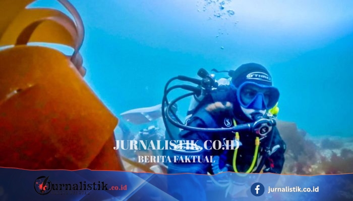 Setelah 40 Tahun, Ilmuwan Memastikan Alga Laut Merah Muda Langka sebagai Spesies Baru
