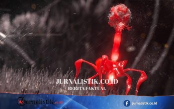 AI Mendesain 16 Bakteriofag Baru yang Bisa Bereplikasi di Laboratorium