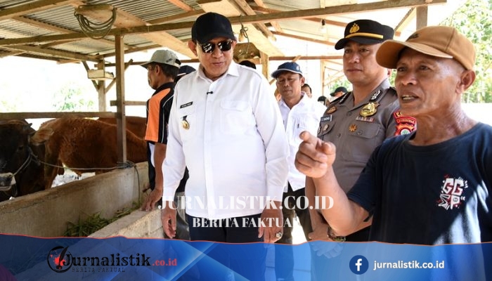 Rabu (5/8/2026) Gusnar Ismail Tinjau Inseminasi Buatan di Desa Harapan Boalemo, Bidik 3.000 Ekor 2026