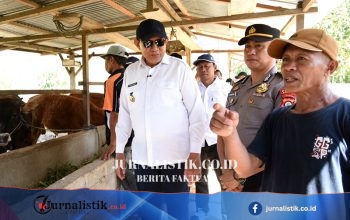 Gusnar Ismail Tinjau Inseminasi Buatan, Pemprov Targetkan 3.000 Ekor Sapi di 2026