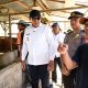 Gusnar Ismail Tinjau Inseminasi Buatan, Pemprov Targetkan 3.000 Ekor Sapi di 2026