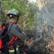 Api Kebakaran Lahan di Desa Bulontala Berhasil Dikendalikan, Dit Samapta Polda Gorontalo Turun Tangan