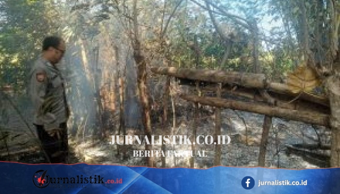 Kebakaran Lahan di Desa Bulota, Polisi dan Warga Sigap Padamkan Api