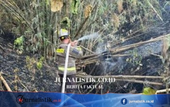 Kebakaran Lahan di Suwawa Timur, Polisi dan Damkar Tangani Pemadaman Api