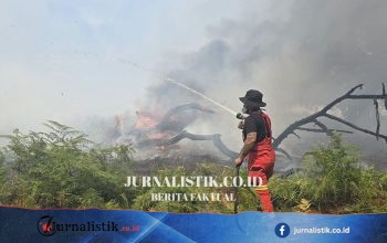 Kebakaran hutan New Forest berlanjut saat suhu diperkirakan kembali naik