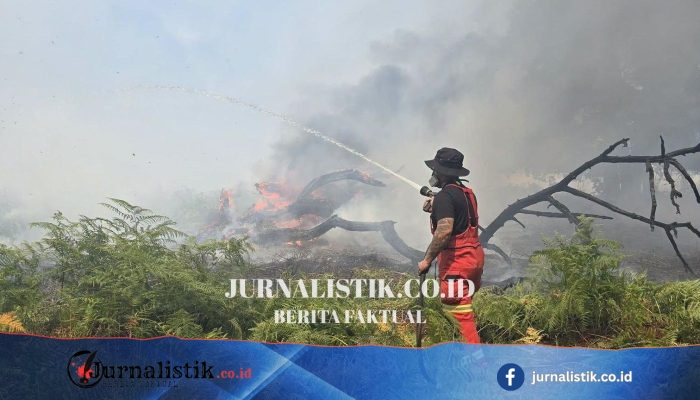 Kebakaran hutan New Forest berlanjut saat suhu diperkirakan kembali naik