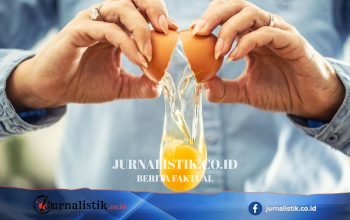 Kasus salmonella Inggris nyaris 500: total 474 terkait telur impor, 2 klaster baru diselidiki