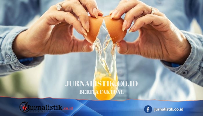 Kasus salmonella Inggris nyaris 500: total 474 terkait telur impor, 2 klaster baru diselidiki