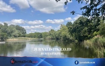 Penyelidikan Pembunuhan di Bedfont Lakes Setelah Tulang Manusia Ditemukan