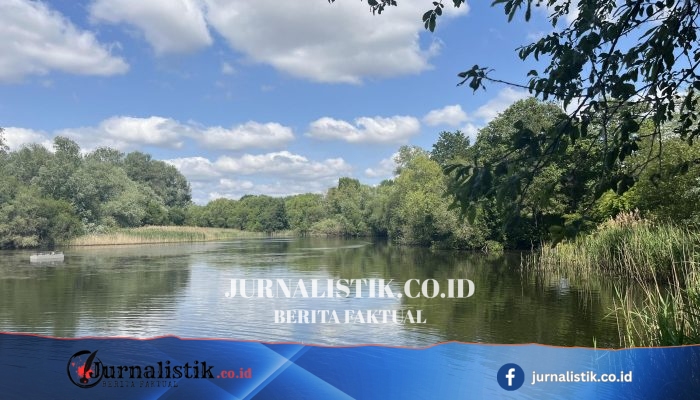 Penyelidikan Pembunuhan di Bedfont Lakes Setelah Tulang Manusia Ditemukan