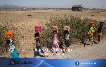 Met Office: El Niño diprediksi menjadi “yang terkuat dalam ingatan hidup”