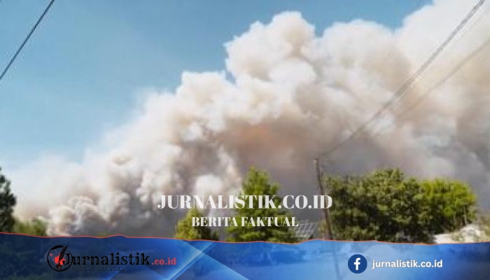 Kebakaran Hutan di Washington Evakuasi Ribuan Warga, Status Darurat Ditetapkan