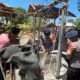 Brimob Polda Gorontalo Distribusikan 5.000 Liter Air Bersih bagi Warga Pulubala Terdampak Kekeringan