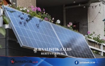 Panel surya plug-in akan hadir di toko terdekat Anda: hal penting yang perlu diketahui