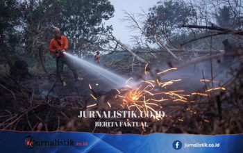 Hotspot Karhutla Meningkat, Kementerian Kehutanan Rilis Pembaruan