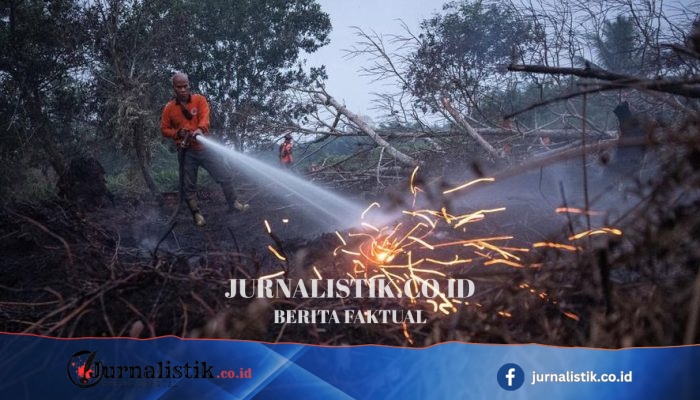 Hotspot Karhutla Meningkat, Kementerian Kehutanan Rilis Pembaruan