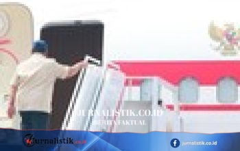 Karhutla di Kalimantan, Kementerian Kehutanan Sanksi 5 Perusahaan dan Bekukan Izin PT MPK
