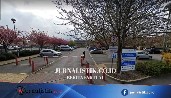 Staf NHS Tertidur Saat Hugo Flint-Cahan Dibunuh di Unit Kesehatan Jiwa London Timur: Rolando Torres-Pena, 22, dicekik