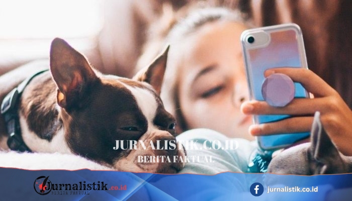 Aturan baru paksa Apple dan Google mencegah anak mengunggah atau membagikan gambar telanjang di ponsel