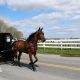 Perawat keliling dari rumah ke rumah di wilayah Amish untuk menahan wabah campak mematikan di Pennsylvania