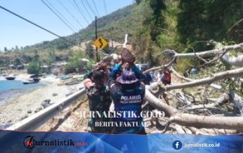 Polairud Polda Gorontalo Evakuasi Pohon Tumbang di Trans Sulawesi, Arus Lalu Lintas Kembali Lancar