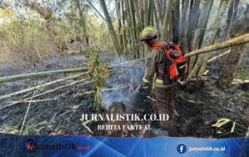 Kebakaran Lahan Bondawuna Tuntas Dipadamkan, Dit Samapta Polda Gorontalo Kerahkan Mobil Karhutla
