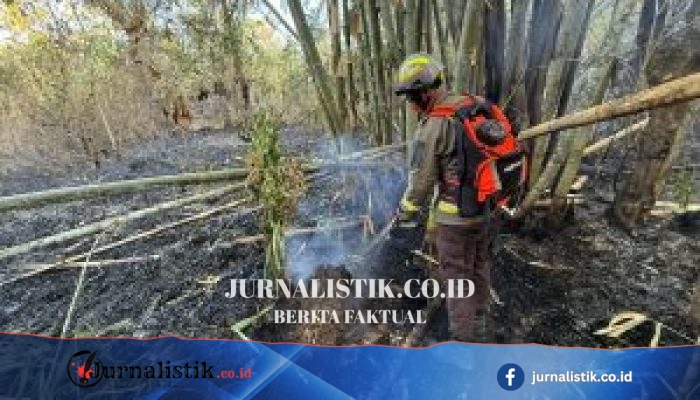 Kebakaran Lahan Bondawuna Tuntas Dipadamkan, Dit Samapta Polda Gorontalo Kerahkan Mobil Karhutla