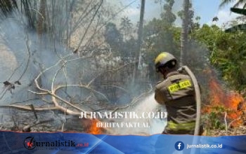 Dit Samapta Polda Gorontalo Tuntaskan Kebakaran Lahan di Desa Panggulo, Api Dipadamkan