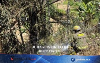 Tim Dit Samapta Polda Gorontalo Kendalikan Kebakaran Lahan di Desa Daenaa