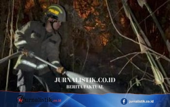 Kebakaran Lahan di Lombongo, Polisi Tegaskan Api Tak Menuju Permukiman