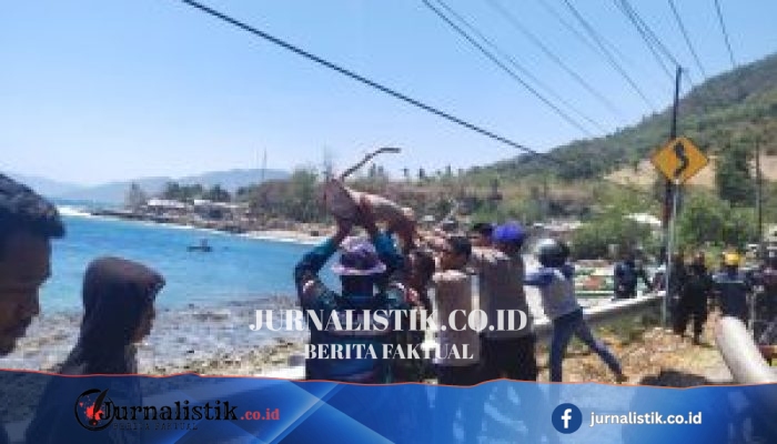 Polairud Polda Gorontalo Evakuasi Pohon Tumbang di Jalan Trans Sulawesi pada Senin, 14/9/2026