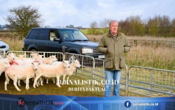 11 Domba Dicuri dari Peternakan Jeremy Clarkson di Chadlington, Polisi Minta Keterangan