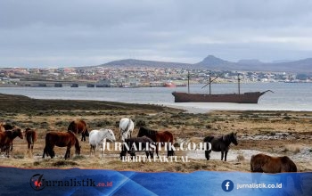 Javier Milei Ancam Sanksi untuk Perusahaan Minyak di Sekitar Falklands