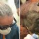 Kebakaran Hutan di Indonesia Mengancam Ratusan Orangutan