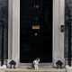 Which? ungkap listing palsu 10 Downing Street: cek Booking.com dinilai ‘unfit’