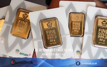 PACK Kaji Langkah Korporasi untuk Tambah Kapasitas Bijih Nikel dalam Waktu Dekat