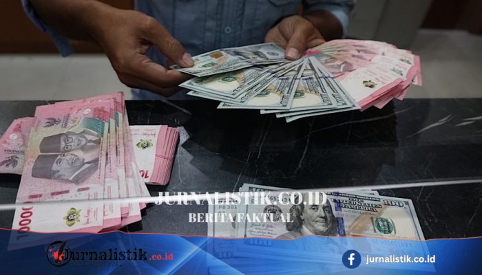 DJP Proses 38 Perusahaan Baja Nakal, Penerimaan Rp326 M Dikantongi