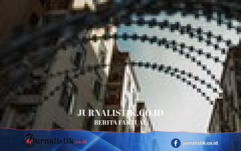 Tambang Kripto Ilegal Tersembunyi di Pegunungan Meksiko, Diduga Milik Kartel