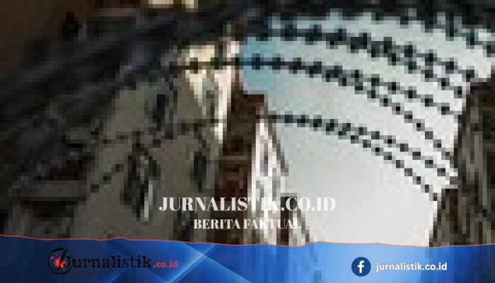 Tambang Kripto Ilegal Tersembunyi di Pegunungan Meksiko, Diduga Milik Kartel