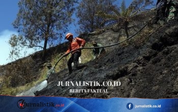 Penanganan Karhutla Berlanjut di Bromo, Semeru, Argopuro, dan Kawinajang