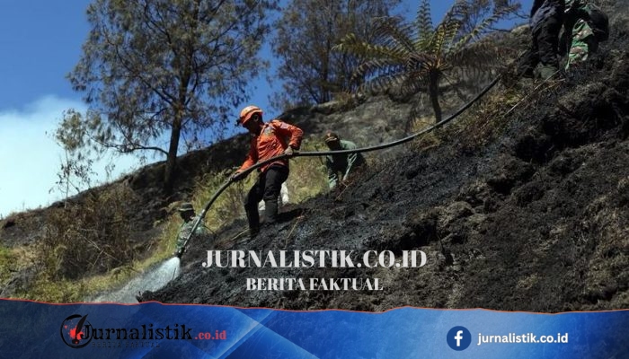 Penanganan Karhutla Berlanjut di Bromo, Semeru, Argopuro, dan Kawinajang