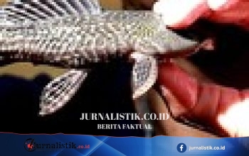 Riset University of Surrey: Durasi Mandi 3–5 Menit yang Disarankan Peneliti