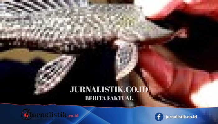 Riset University of Surrey: Durasi Mandi 3–5 Menit yang Disarankan Peneliti